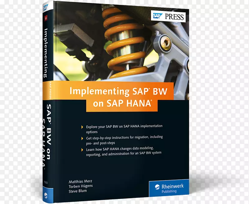 SAP Hana sap NetWeaver��ҵ�ֿ�sap seʵʩsap erp-ӡˢ��-������