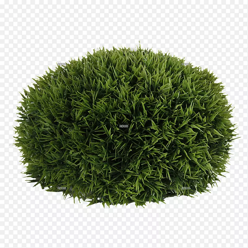 �ݱ���ľ-������-������