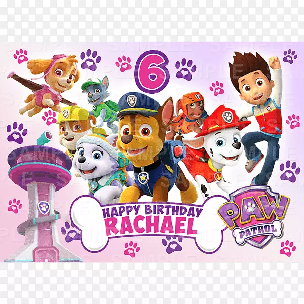 ��Ƭ��������ֽ������Ѳ��-����-������