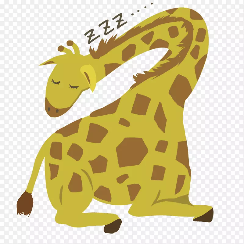 ����¹���������ó���¹-������