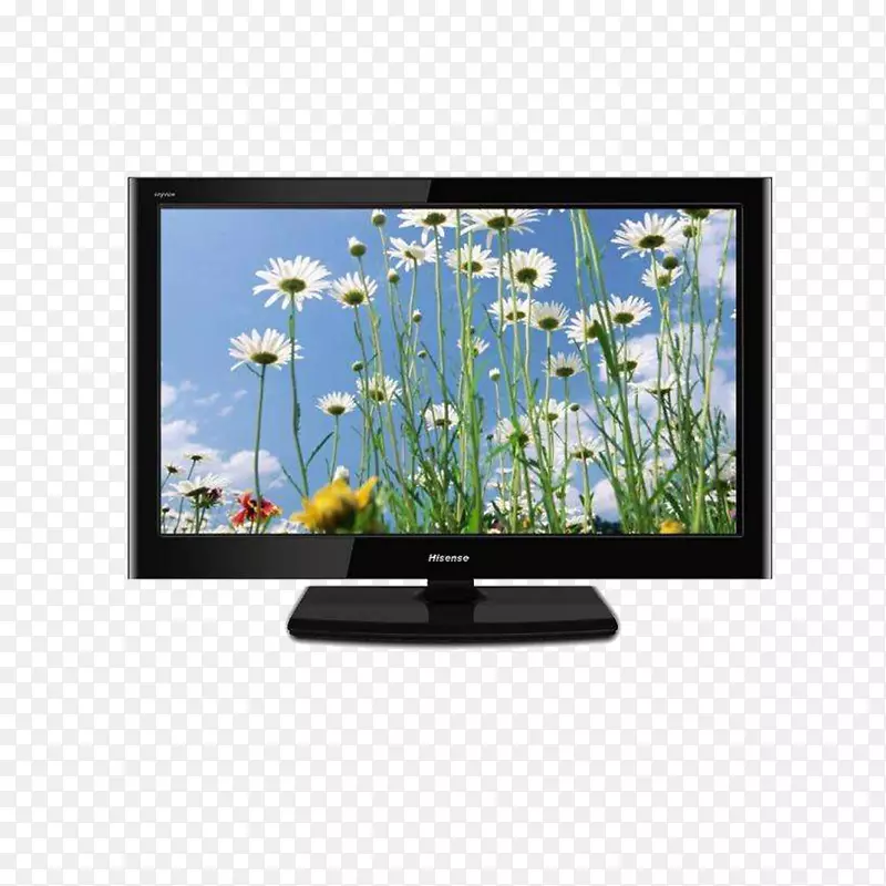 Youtube������ķ��ŷ�˸�˹�е���Ī����ֽ-���ŵ���-������