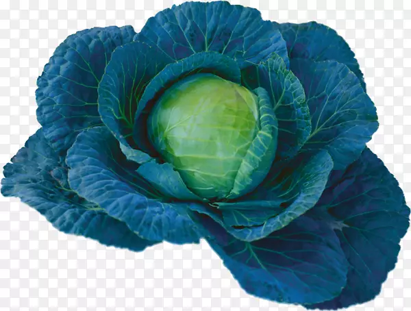 ������������-������