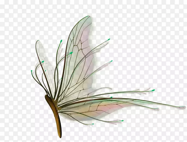 ��������-������