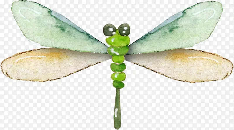 ������������ѹ��.Ư������-������