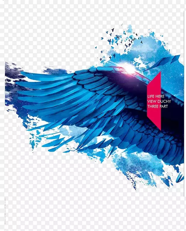 �����-������