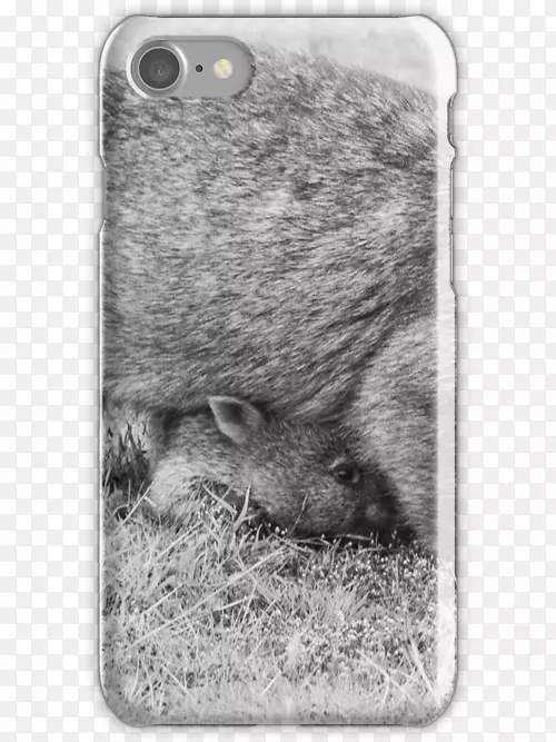 С������Ӵ��������-������