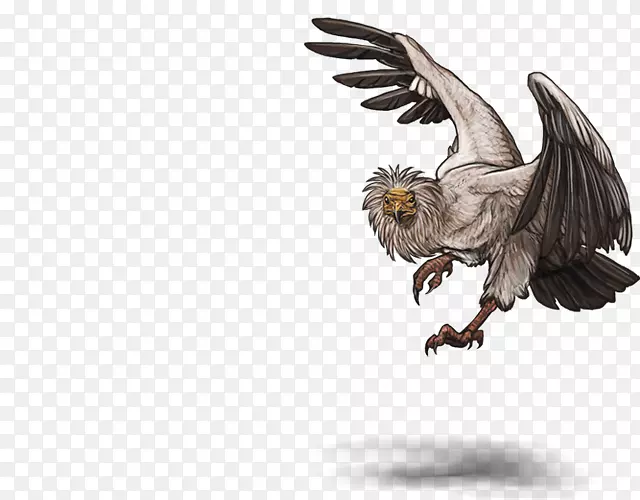 ͺӥ����ͺ��-������