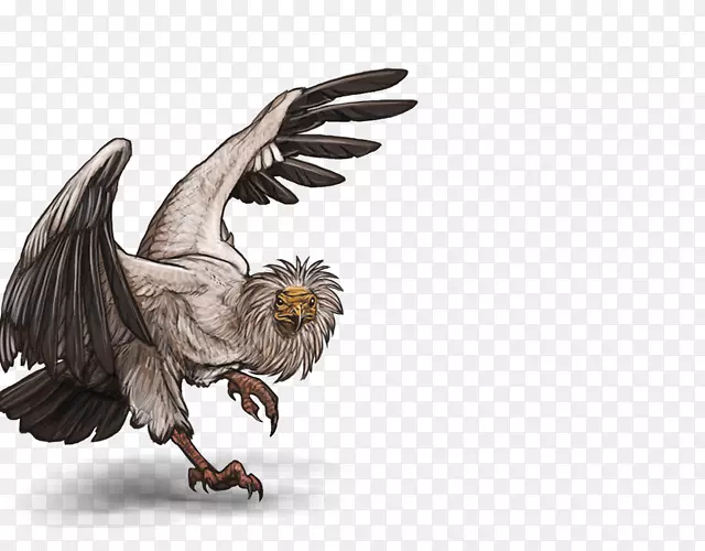 ͺӥʨ���񰣼�ͺӥ-ʨ��-������