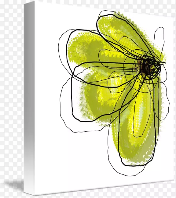 ����չ���������-������