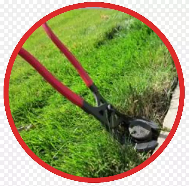 ��ƺ����-������