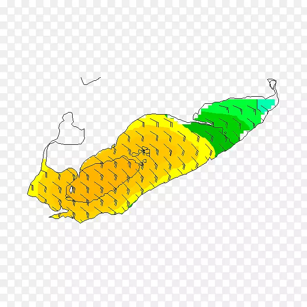 ���׵�����-������