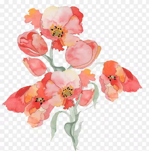 �������ˮ�ʻ����-������