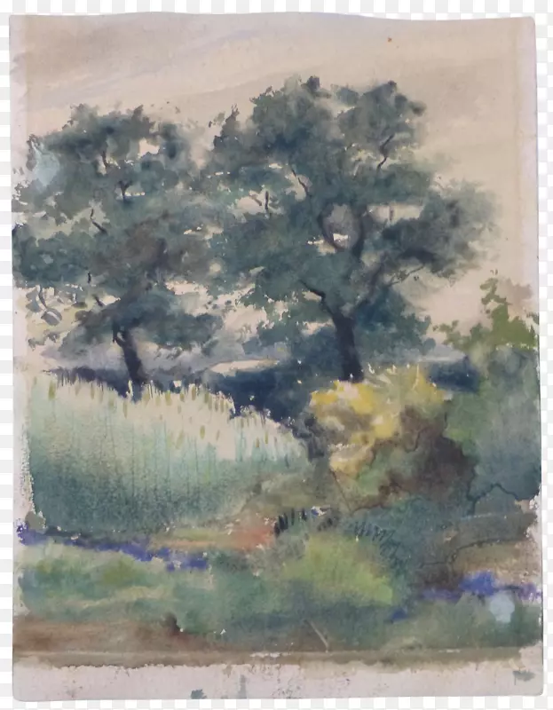 ˮ�ʻ���ϩ��������-������