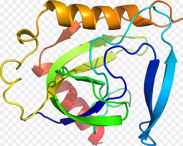 �ߵ������������-������