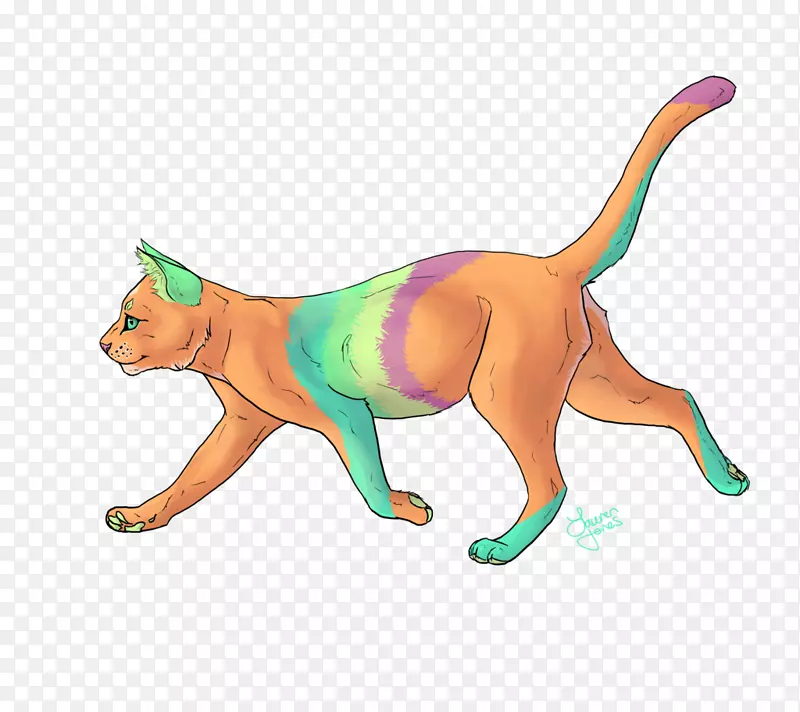 è�ƿ���β�Ͷ���-è-������