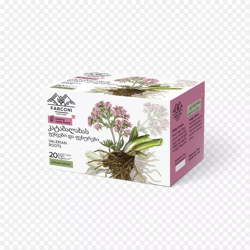 ӡ�Ȳ˲ݱ�ֲ��ͻ�˹̹�˽�������Ӳ�-������