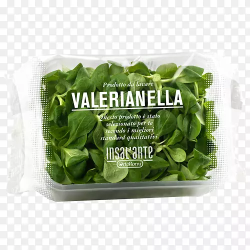 ݫ�ģ����࣬���ˣ�����Ҷ�߲�-�Ӳ�-������