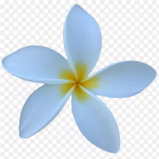 ץס����ʱ��Ϣandroid google��xmpp-android-������