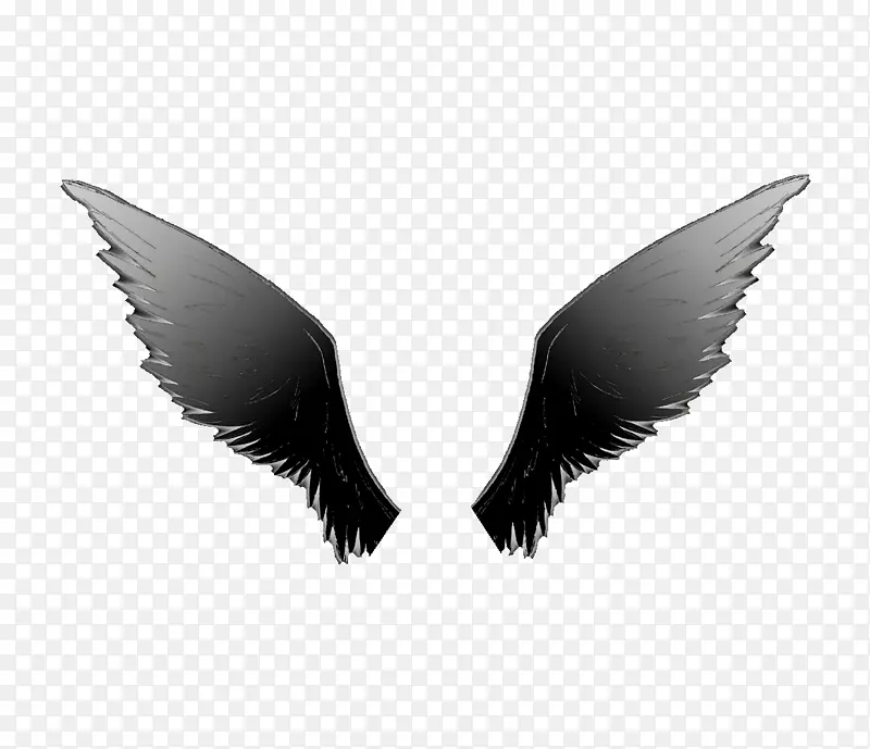 �׾�-������