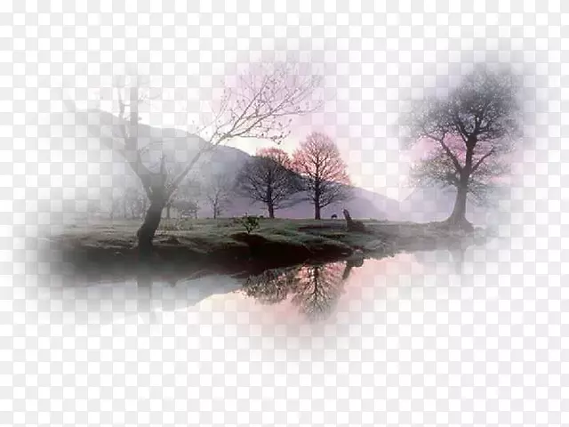 ��ȻŮ���ѧŮ��-��ѧ-������