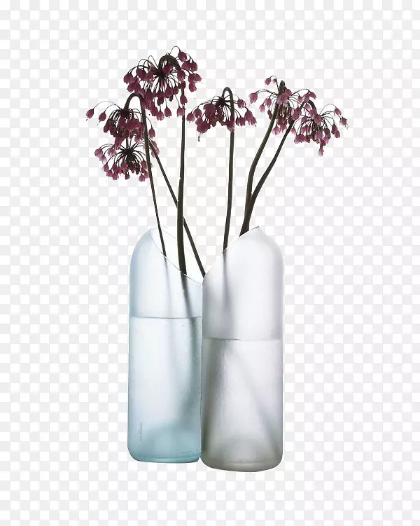 ������ƿ-������