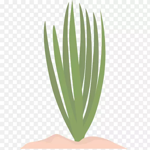 �����̲�-������