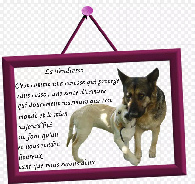 ����ֳС��������-С��-������