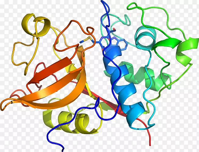 �ߵ������������-������