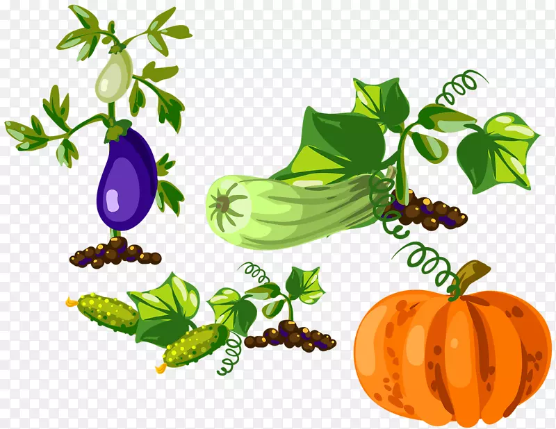 �ϹϺ�«����ֲ��������Ϲ�����-������