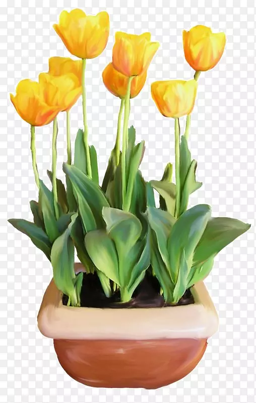 ������-������-��������-������