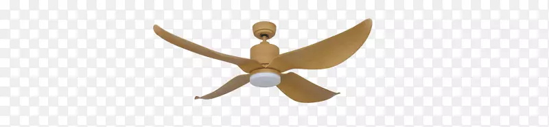 ���涯��-������