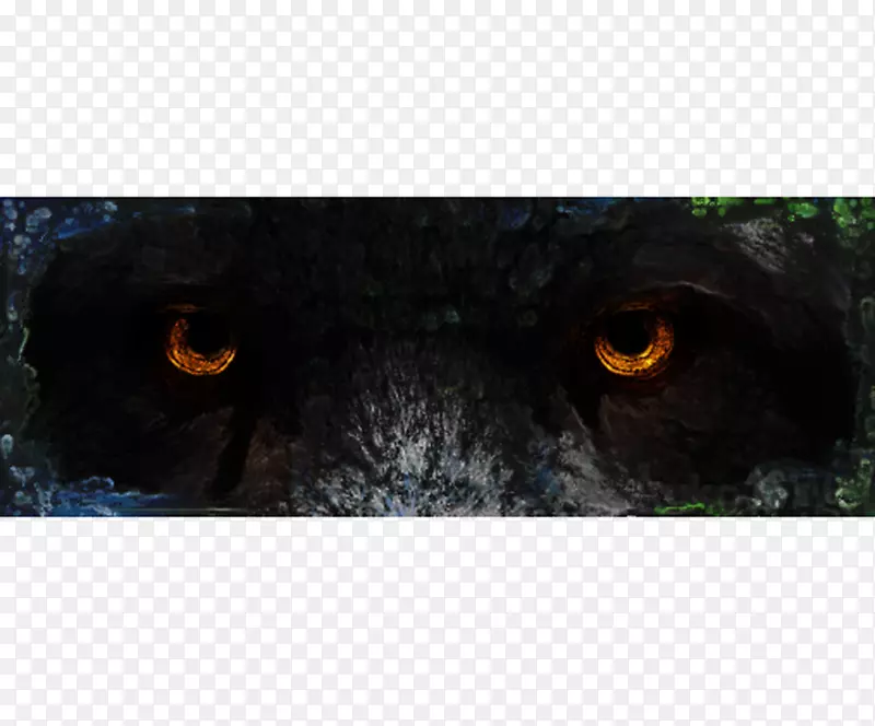 ��������д�ڱ���-������