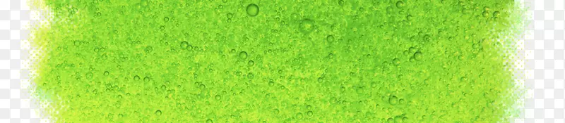 �����Ʒ-���ⱳ��-������