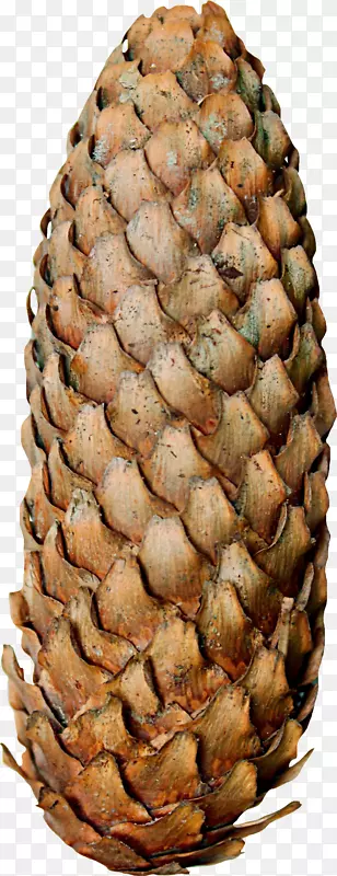 ��Ҷ׶-�൱����׶-������