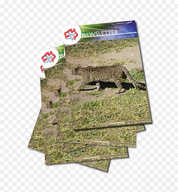 �Ĵ�����5��0�տ�-������-������