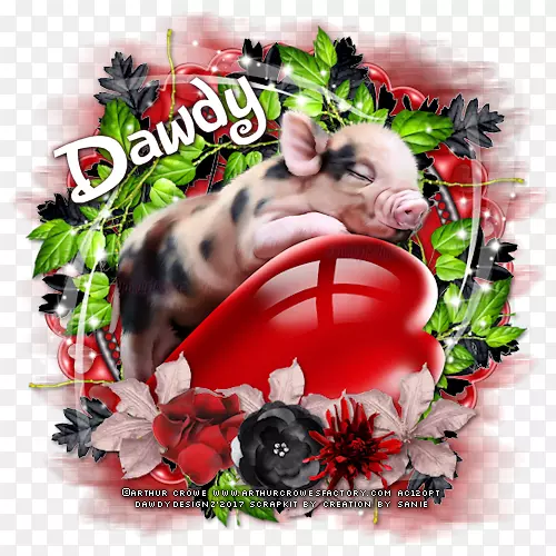 ʥ��װ��ƷС������-���İ�-������