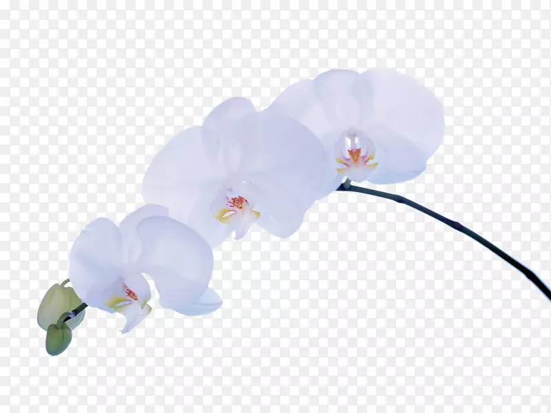 �ɶ����������ֽ��-������