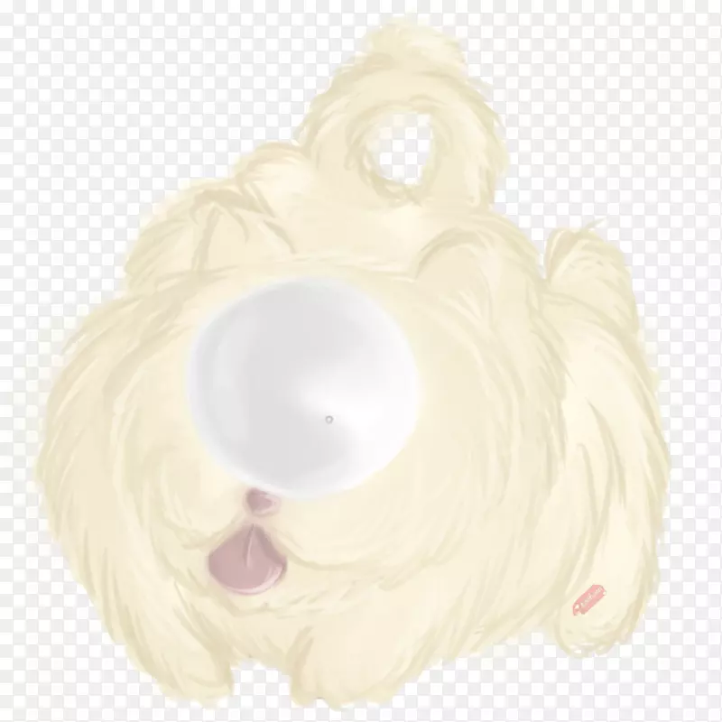 Ȯ�ƹ���ëƤ�����ӣ�-��-������