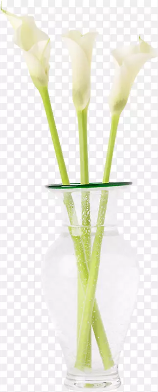 ��������л���ƿ������ƿ-������