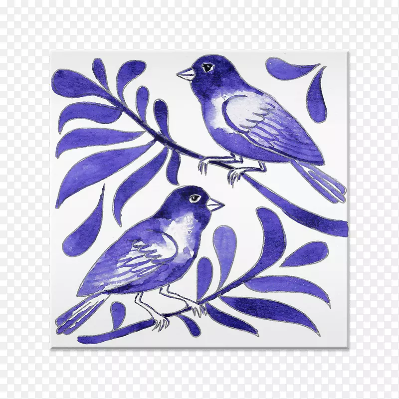 ����Ⱥ��ë�����ο���ֲ���-������