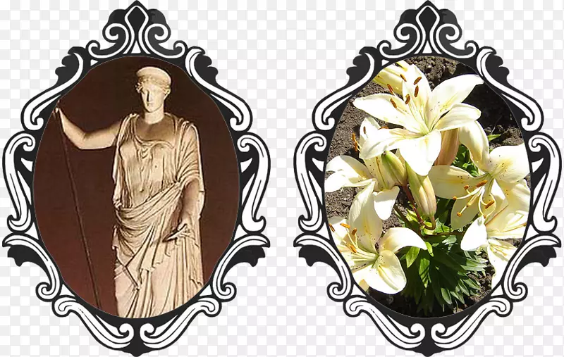 �鱦������о���鱦-������