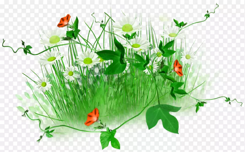 �ջ����.�̲�С��װ�����-������