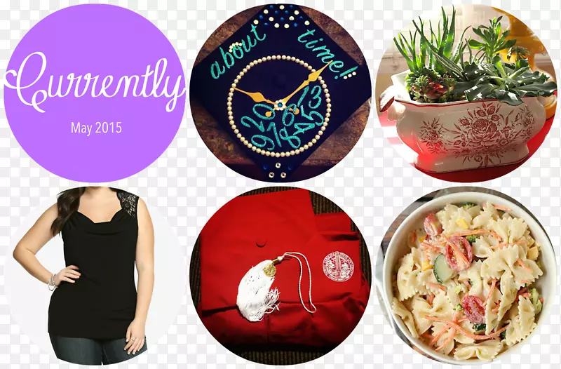 ���ײ˲�-��ҵ����-������