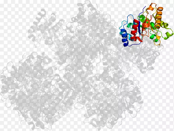 �ߵ�������-������