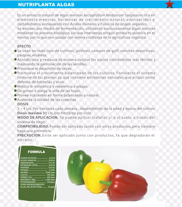 �����������-������