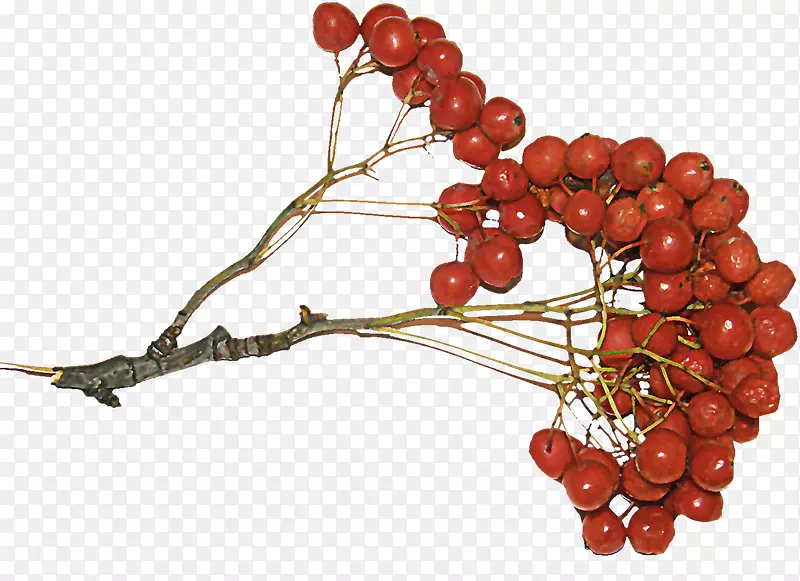 �ۺ챬�׻����������-��³��˹-������