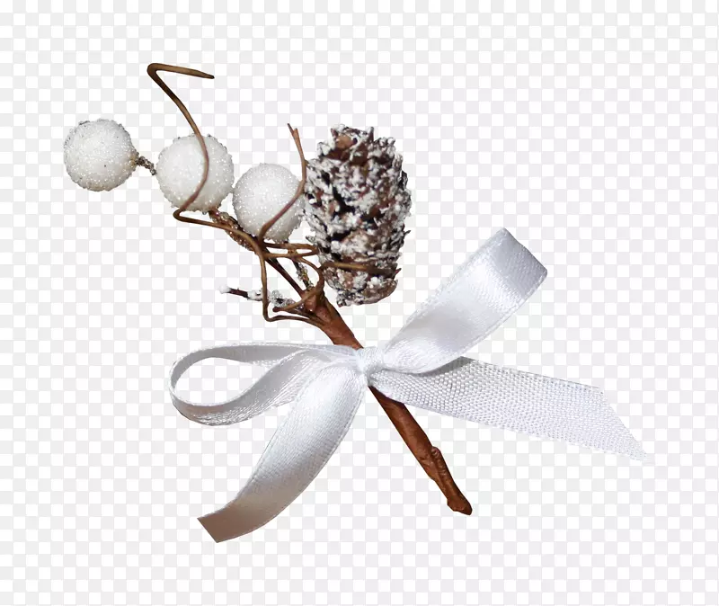 Dachshund SpA Charleroi poil���͸߶������-uisque-������