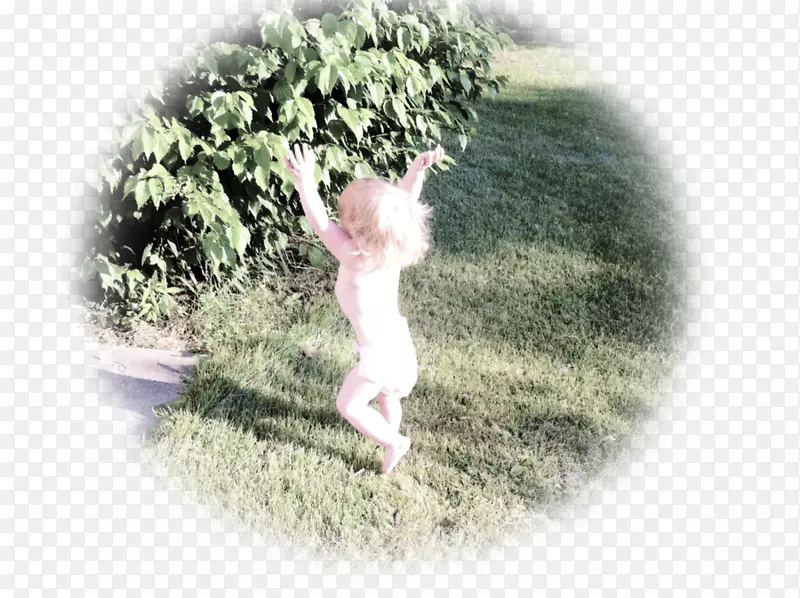 ��ľβ��-������