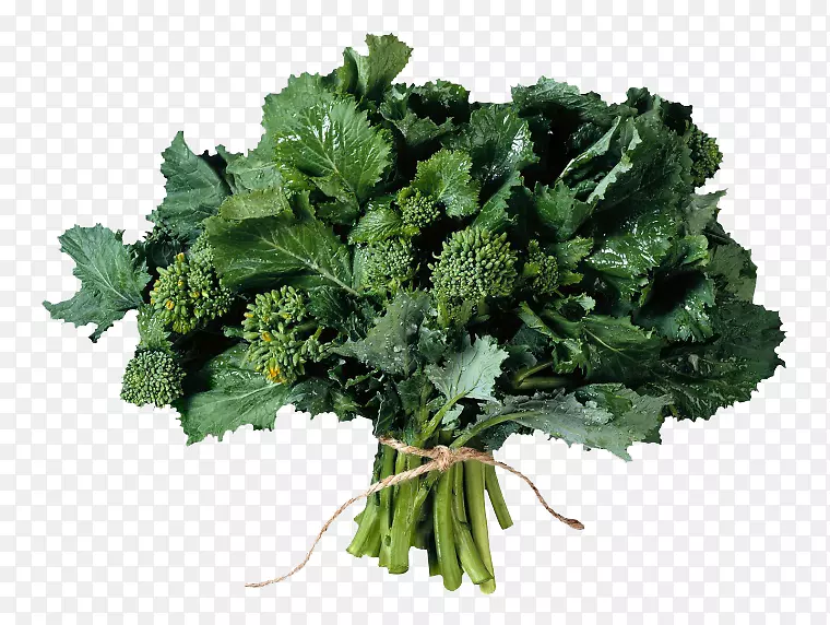 �ݱ�ֲ��չʾ����ʽ������-���Ĳ�-������