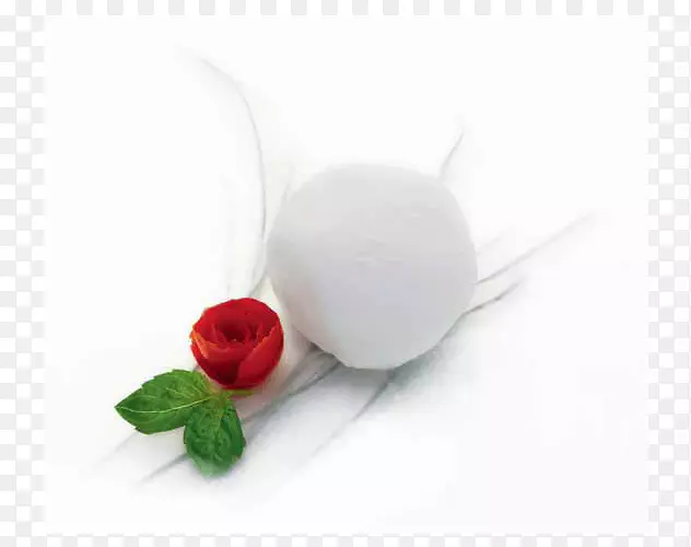 ֽ������ʳƷ�䷽��������-������